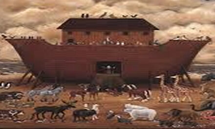 Noah Movie HD Official Full Version