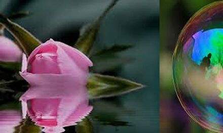 Evidence That the Human Body is a Projection of Consciousness