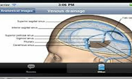 Teal Swan Internet addiction
