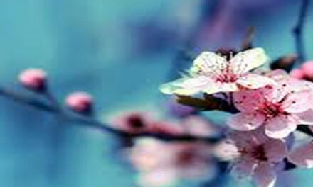 A Meditation for the Mind (Lecture by Lao Tze)