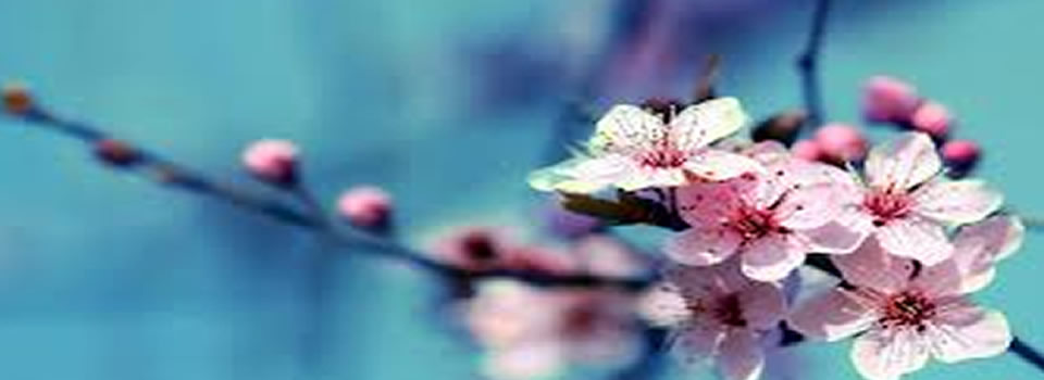 A Meditation for the Mind (Lecture by Lao Tze)