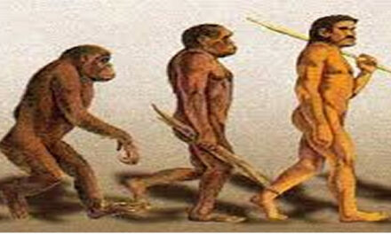 Paracas Skulls DNA, Nephilim, and Phoenicians