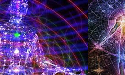 Lightbody: Shift from Carbon12 to Carbon 7