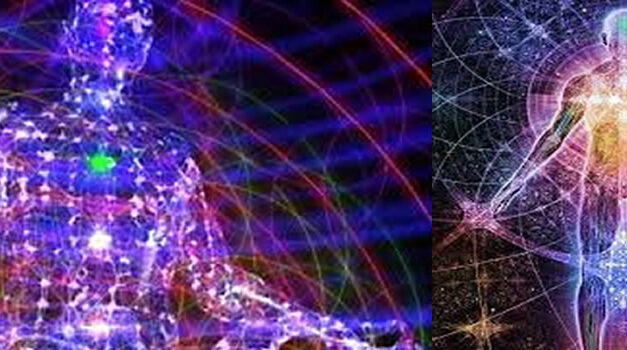 Lightbody: Shift from Carbon12 to Carbon 7