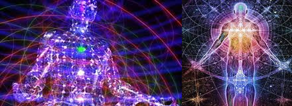 Lightbody: Shift from Carbon12 to Carbon 7