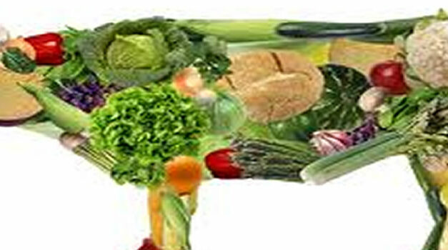 Bewust omgaan met vlees eten