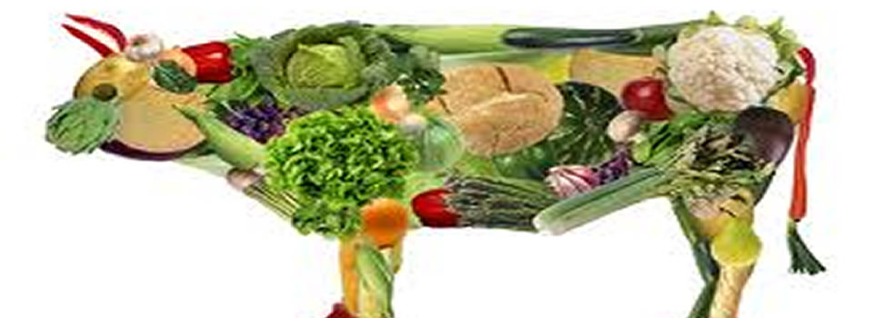 Bewust omgaan met vlees eten