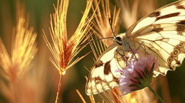 Klimaatverandering is onzin