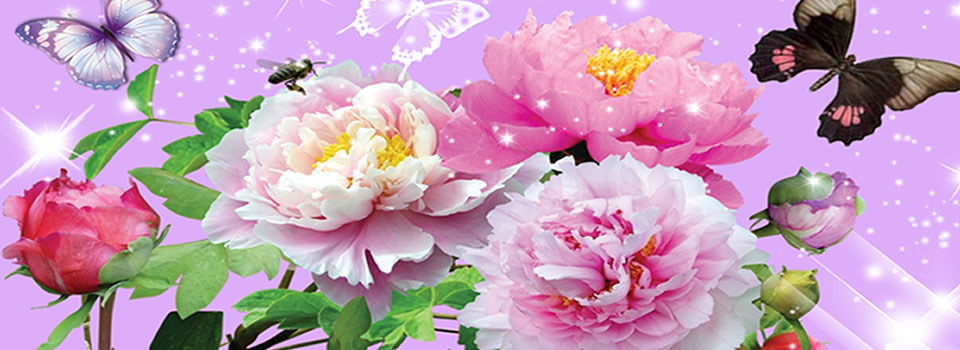 Stoppen Zwitsers als eersten met mammografie…?