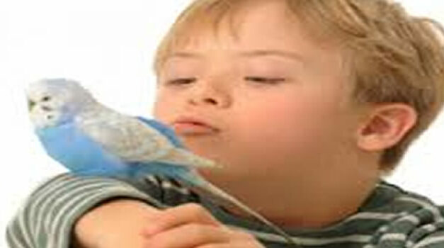 De meerwaarde van het Syndroom van Down