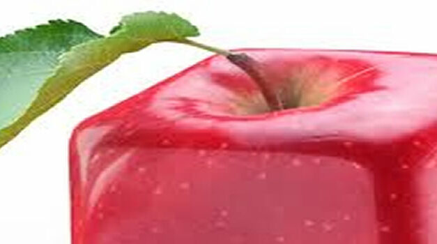 Nanofoods. SF of nabije toekomst?