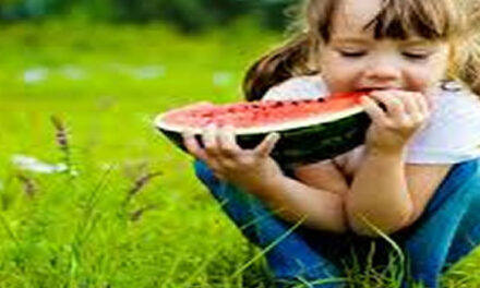 Het lichaam weet wat het nodig heeft