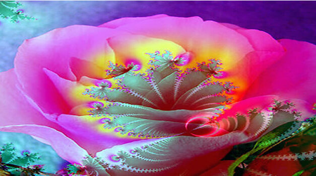 Lilian Ferru: waar sta jij? (video)