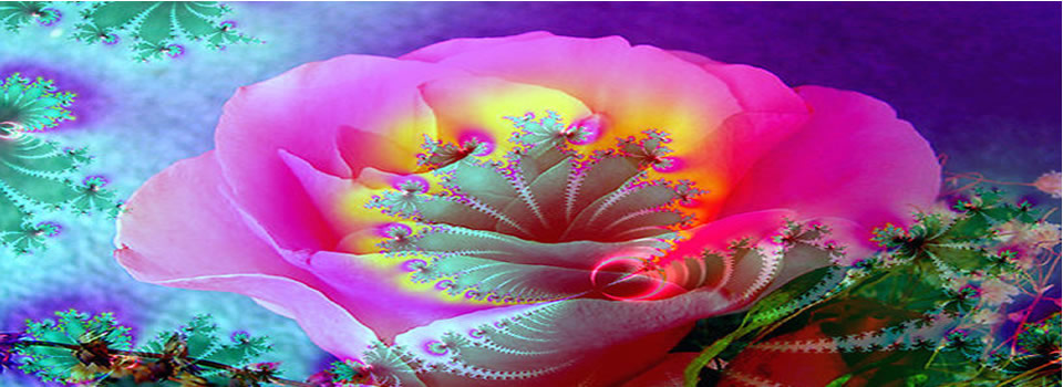 Lilian Ferru: waar sta jij? (video)