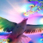 The SURPRISING Power of Forgiveness by Bashar