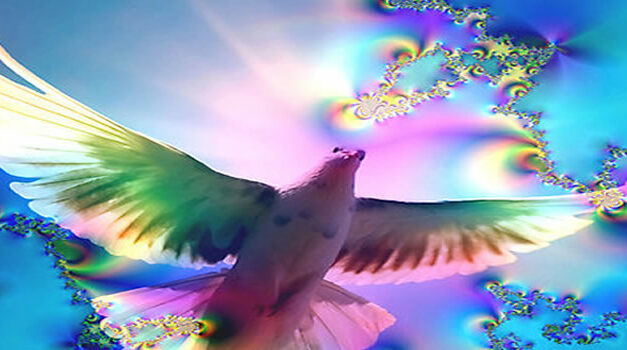 The SURPRISING Power of Forgiveness by Bashar