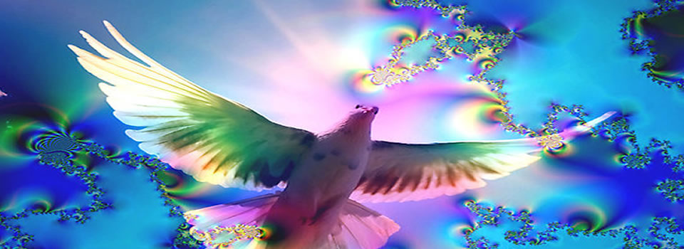 The SURPRISING Power of Forgiveness by Bashar