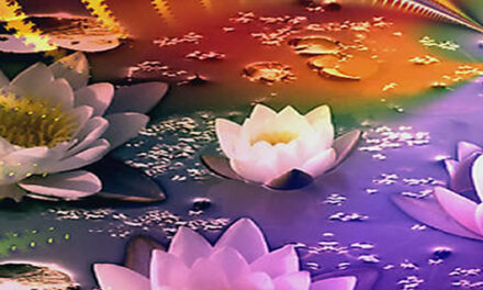 Nahko Bear (Medicine for the People)