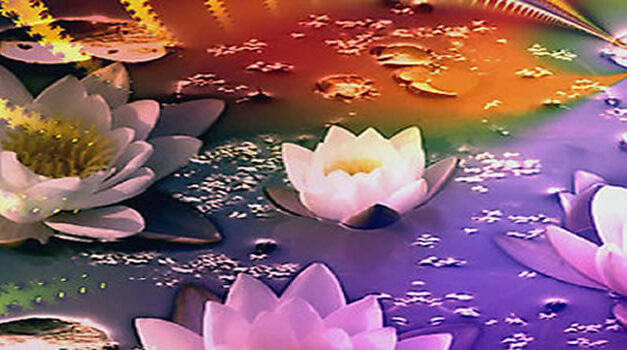 Daisy- Mae (The Girl Who Couldn’t Wait)