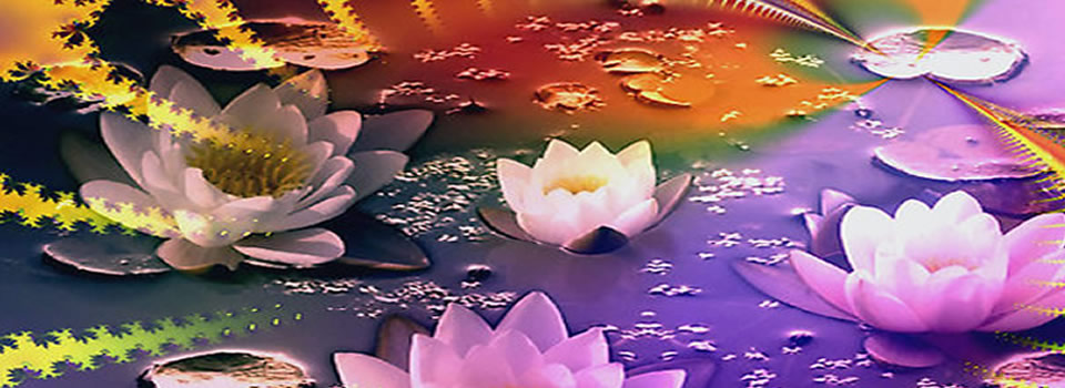 Nahko Bear (Medicine for the People)