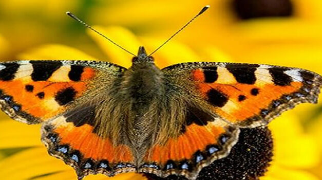 How to trust yourself