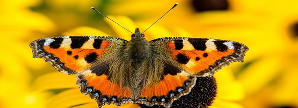 Tips voor meer zelfvertrouwen