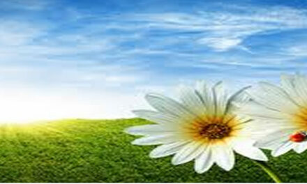 Mogelijk genezing van Kanker