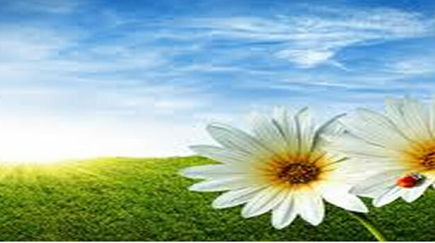 Kanker is te genezen binnen twee maanden