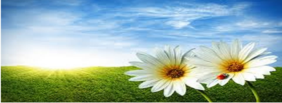 Zelfkennis en zelfbedrog, lezing van Roos Vonk