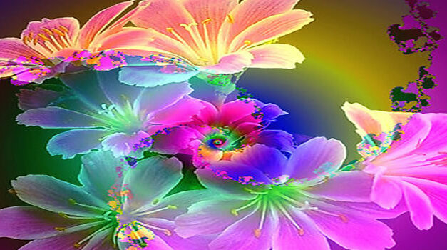 Kristina Bilderberg-Bloemen legt het uit…