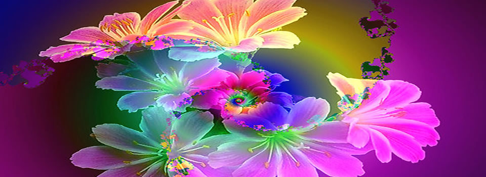 Interview met Lilian Ferru