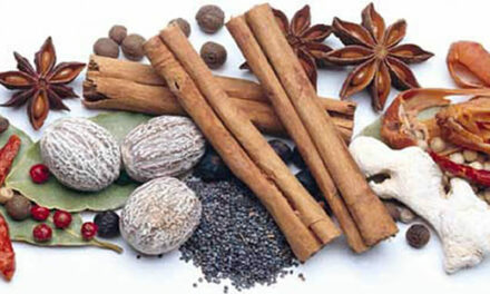 Smaakmakers voor een gezonder leven