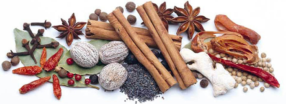 Smaakmakers voor een gezonder leven