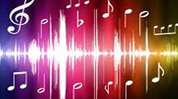 Leven met de handpan, een inspirerende video over Brigitte Wolfhagen