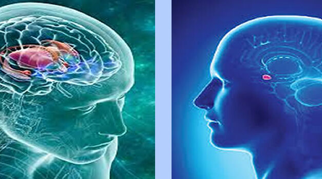 Brain Self Control via de Amygdalae, deel 1