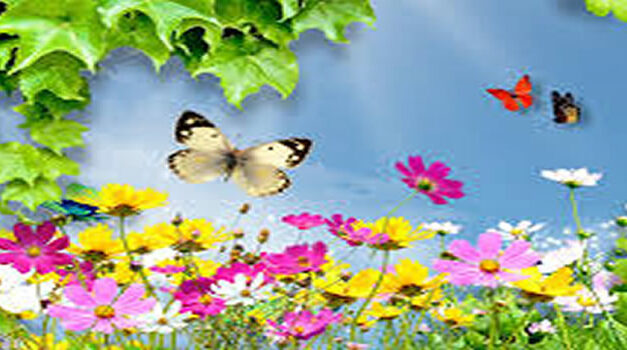 How Our GENES Listen To Our Beliefs