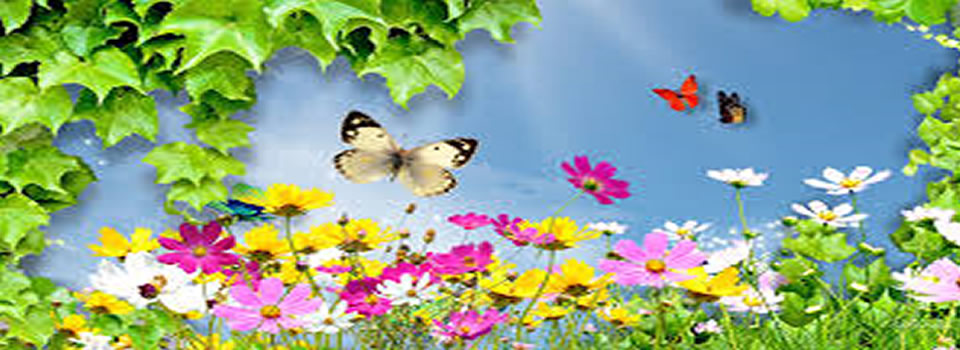 How Our GENES Listen To Our Beliefs