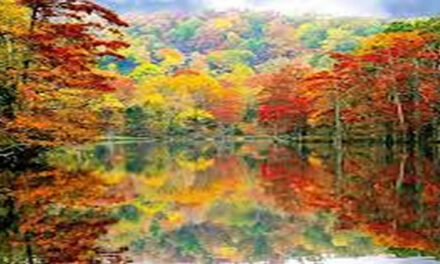 De herfst is begonnen