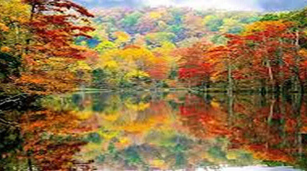 Wat betekent de herfst voor ons?