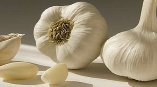 De vele voordelen van knoflook