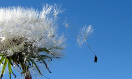 Bij dertigers gaat geluk voor rijkdom