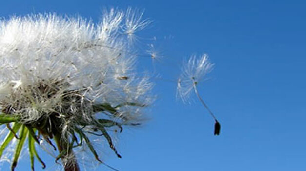 Oh, So Trump Wasn’t Lying Then