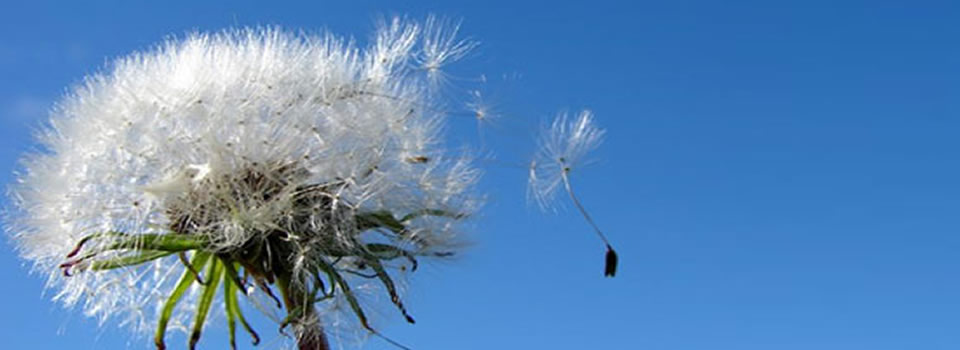 Bij dertigers gaat geluk voor rijkdom