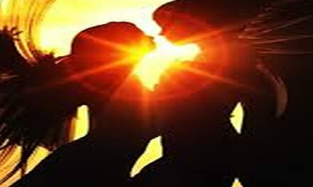 Tweelingzielen door Neale Donald Walsch