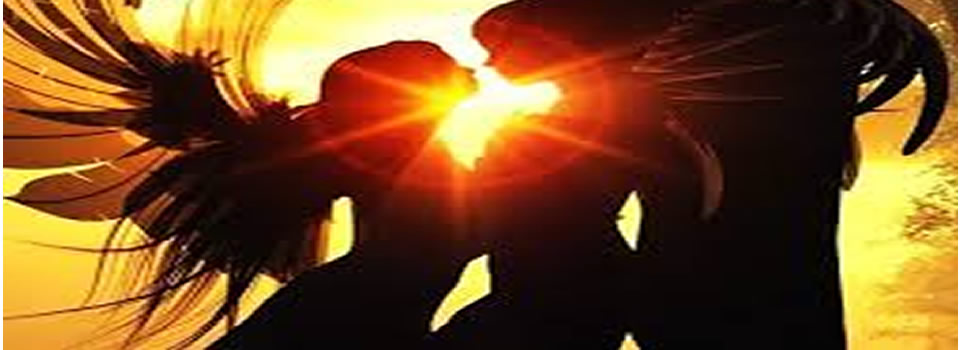 Tweelingzielen door Neale Donald Walsch