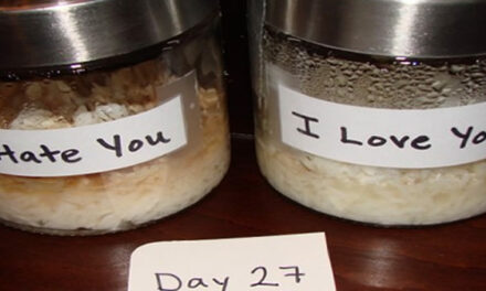 Scientific Proof: The Power of Positivity Alters Our Physical World