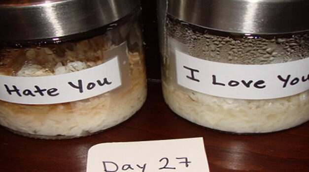 Scientific Proof: The Power of Positivity Alters Our Physical World