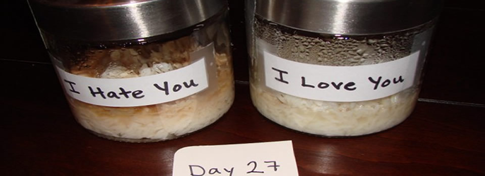 Scientific Proof: The Power of Positivity Alters Our Physical World