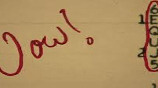 Documentary 2014- Alien Origins; the Wow!