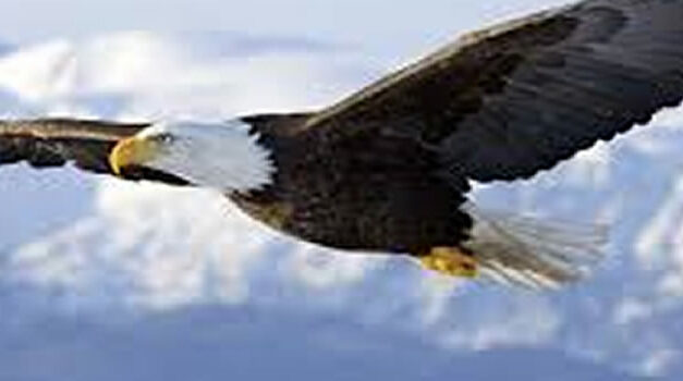 Column van Arnold: ‘Geen democratie zonder persvrijheid’